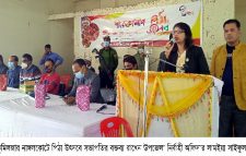 নাঙ্গলকোটে পিঠা উৎসব