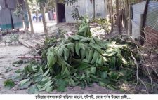 নাঙ্গলকোটে বাড়িঘর ভাংচুর, লুটপাট, জোর পূর্বক উচ্ছেদ চেষ্টা