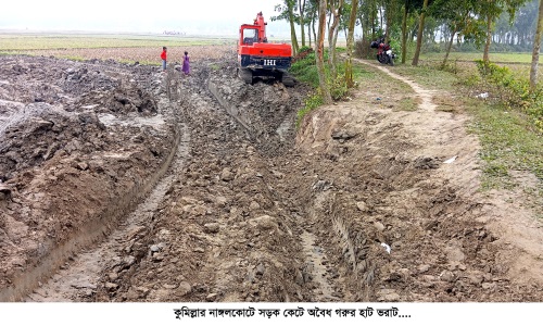 নাঙ্গলকোটে সড়ক কেটে অবৈধ গরুর হাট ভরাট