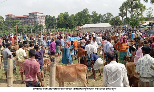 নিষেধাজ্ঞা অমান্য করে গরু-ছাগলের হাট, প্রশাসনের হস্তক্ষেপে পন্ড