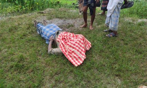 নিখোঁজের একদিন পর ডোবায় মিললো বৃদ্ধের লাশ