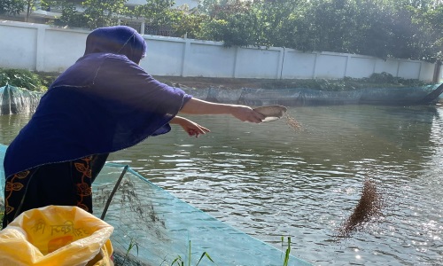 নাঙ্গলকোটে নারী উদ্যোক্তার ১২ পুকুরের মাছ বন্যায় ভেসে গেছে