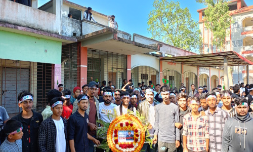 ঢালুয়া ইউনিয়ন ছাত্রদলের উদ্যোগে বিজয় র‌্যালি ও শহীদ মিনারে পুষ্পস্তবক অর্পণ 