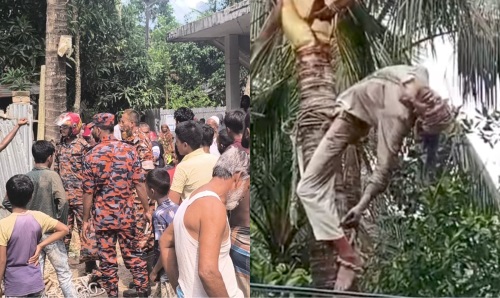 নাঙ্গলকোটে গাছের ডাল কাটতে গিয়ে বিদ্যুৎস্পৃষ্টে শ্রমিকের মৃত্যু