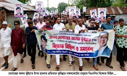 মোবাশ্বের আলম ভূঁইয়া’র উপর হামলার প্রতিবাদে ঢালুয়ায় বিএনপির বিক্ষোভ