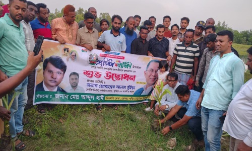 নাঙ্গলকোটে বিএনপির প্রতিষ্ঠাবার্ষিকীতে বৃক্ষরোপণ
