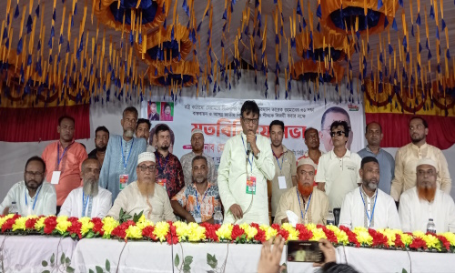 রাষ্ট্র মেরামতের ৩১দফা বাস্তবায়ন ও ধানের শীষকে বিজয়ী করার লক্ষে ঢালুয়ায় বিএনপি’র মতবিনিময় সভা