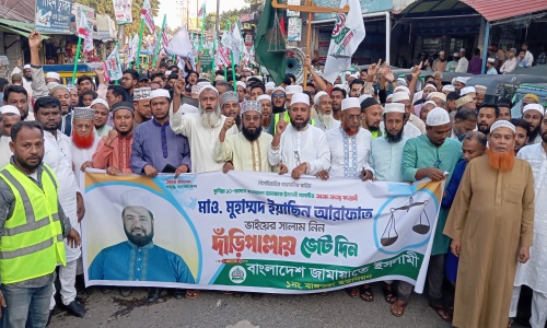 নাঙ্গলকোটের বাঙ্গড্ডায় দাঁড়িপাল্লার গণমিছিল