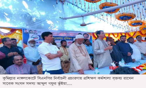 নাঙ্গলকোটে ব্যতিক্রম আয়োজনে বিএনপির নির্বাচনী প্রচারনায় প্রশিক্ষণ কর্মশালা অনুষ্ঠিত