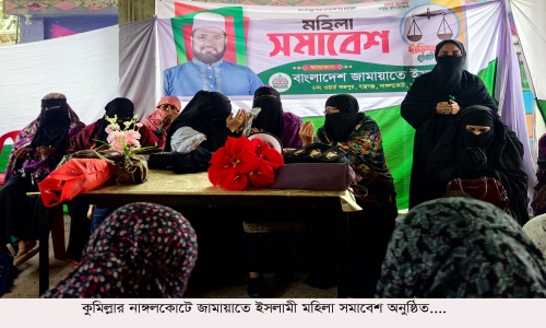নাঙ্গলকোটে জামায়াতে ইসলামীর মহিলা সমাবেশ অনুষ্ঠিত