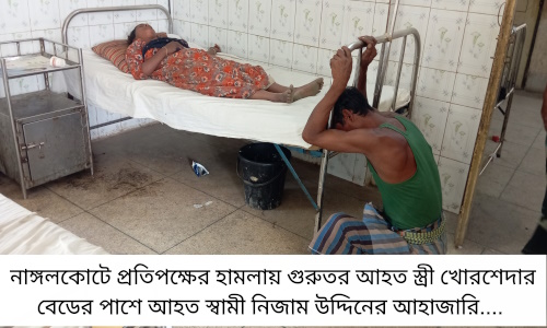 মক্রবপুরে জোরপূর্বক গাছ কেটে নেয়ার ভিডিও করায় হামলা,  নারী ও শিশু-সহ আহত-৯