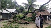 নাঙ্গলকোটে ঘূর্ণিঝড়ে গাছ পড়ে মাদ্রাসা ভবন বিধ্বস্ত