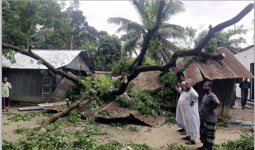নাঙ্গলকোটে ঘূর্ণিঝড়ে গাছ পড়ে মাদ্রাসা ভবন বিধ্বস্ত