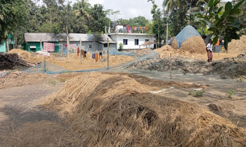 বাঙ্গড্ডায় জমি নিয়ে জালিয়াতি, দলিল-খতিয়ানে মালিক হয়েও জমিতে প্রতিপক্ষের হানা