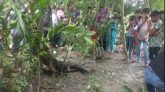 আদ্রায় ৫ দিন পর অর্ধগলিত অবস্থায় মেহেদীর মরদেহ উদ্ধার