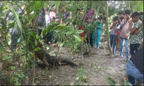 আদ্রায় ৫ দিন পর অর্ধগলিত অবস্থায় মেহেদীর মরদেহ উদ্ধার